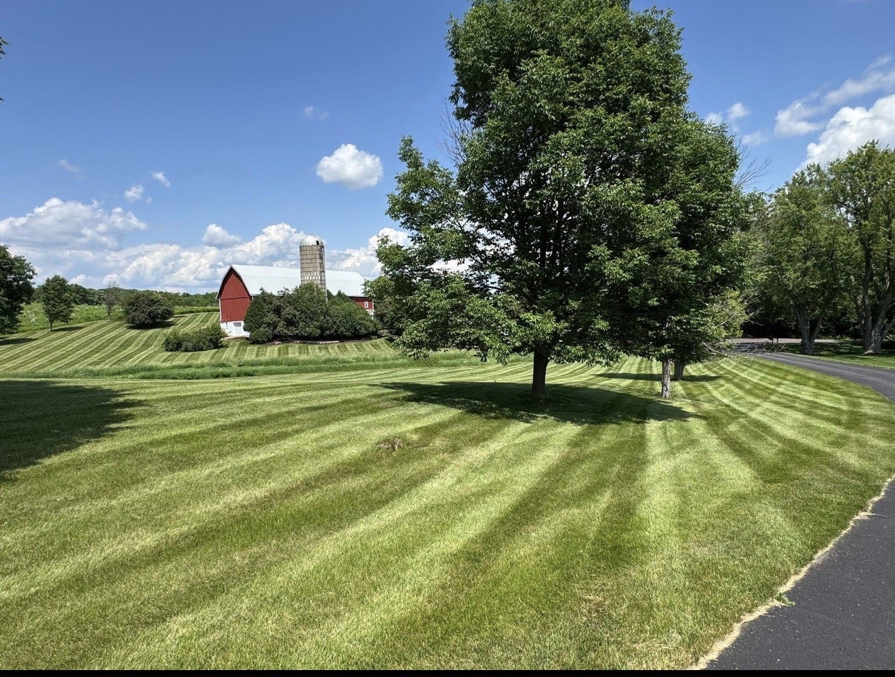 Freshly striped lawn
