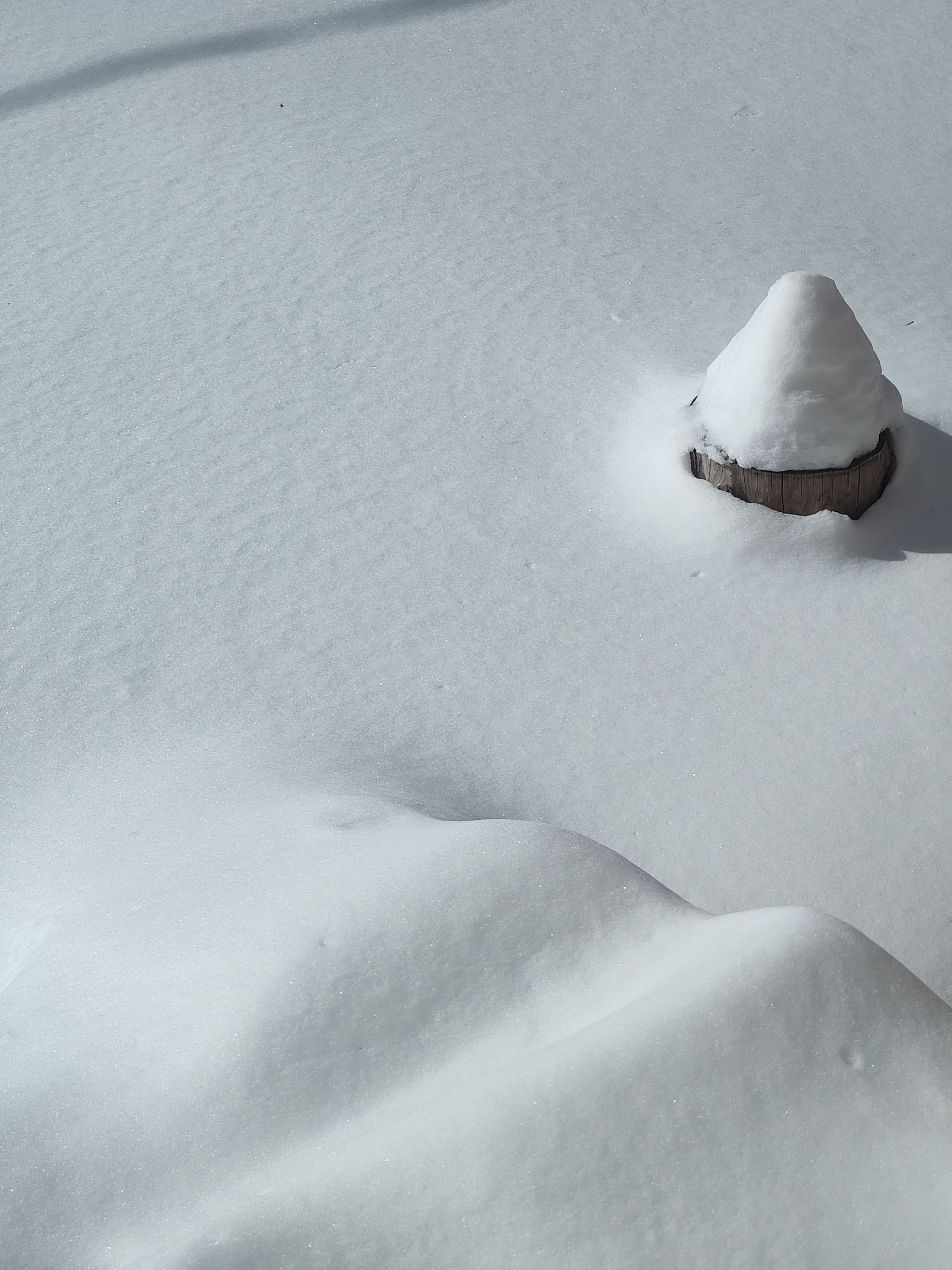 Snow-covered ground